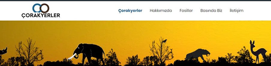 Çorak Yerler Web Development