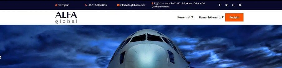 Alfa Global project image