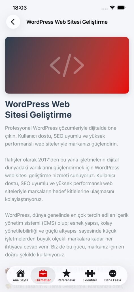flatişler screenshot 5
