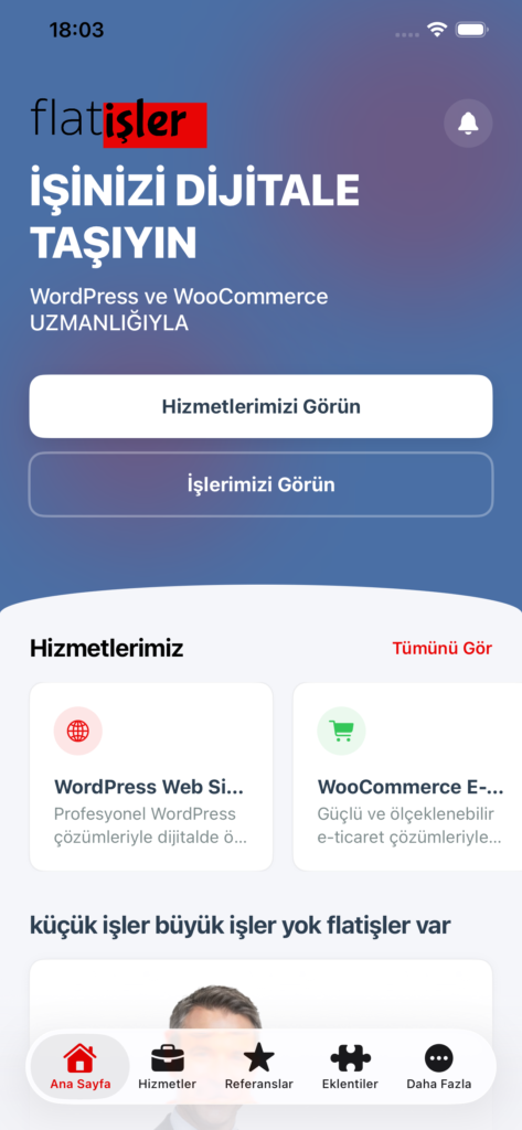 flatişler screenshot 2