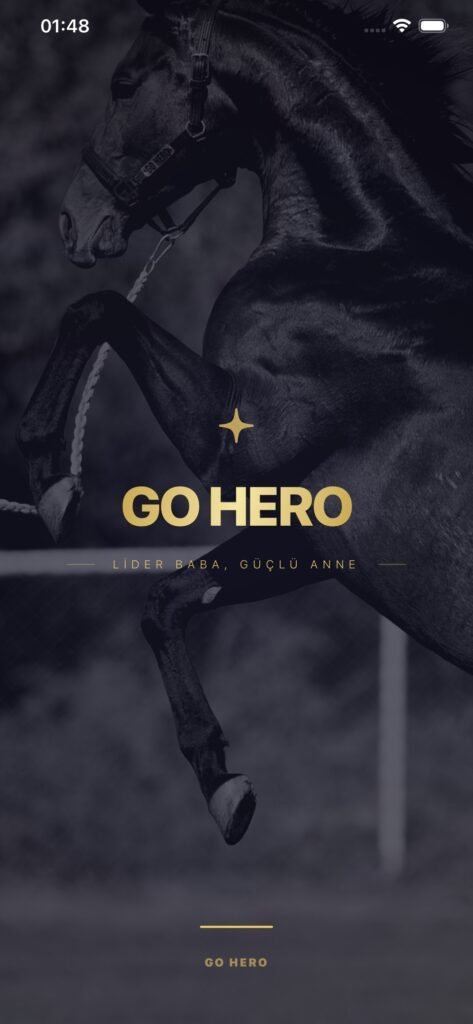 GO HERO screenshot 1