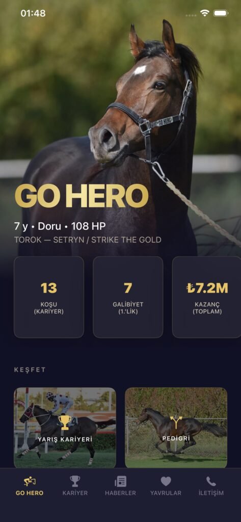 GO HERO screenshot 2