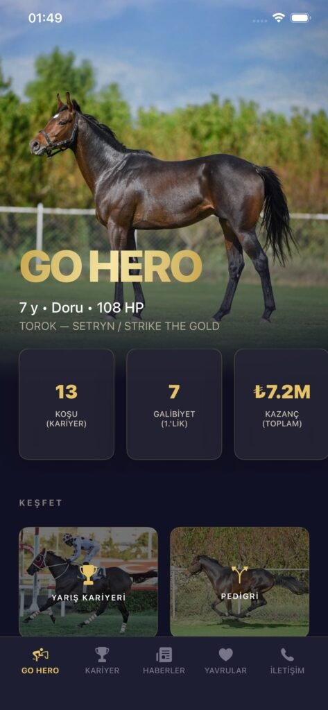 GO HERO screenshot 3