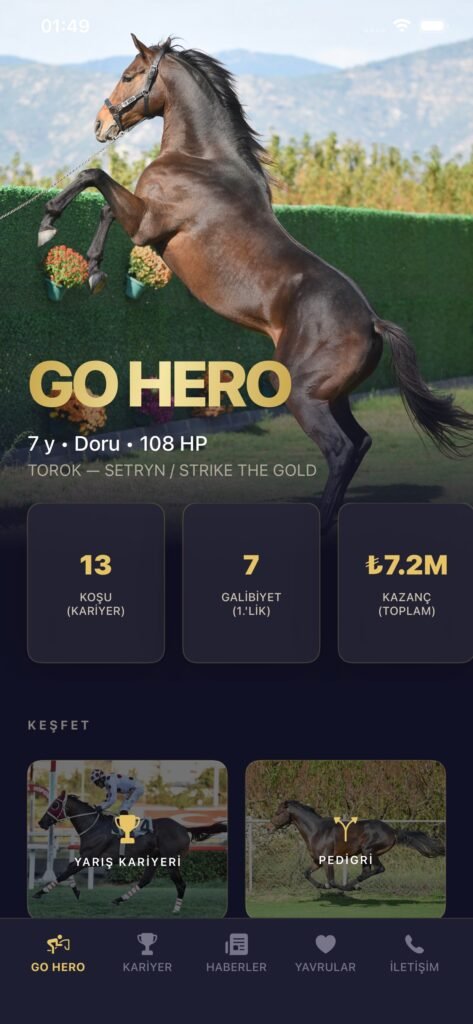 GO HERO screenshot 4