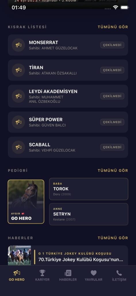 GO HERO screenshot 6