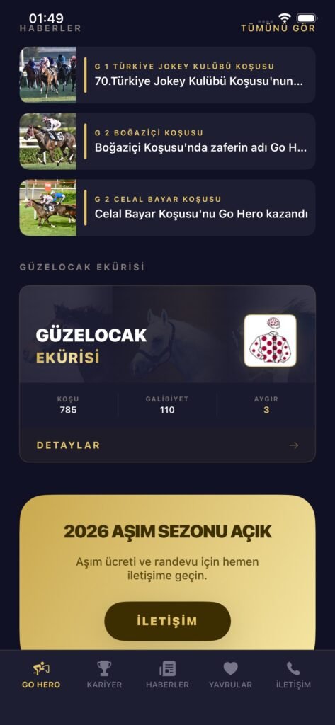 GO HERO screenshot 7