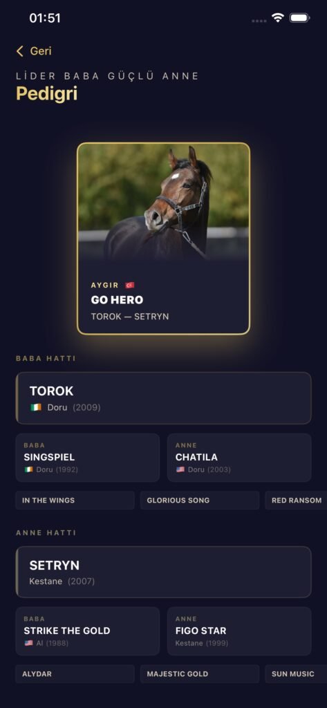 GO HERO screenshot 10