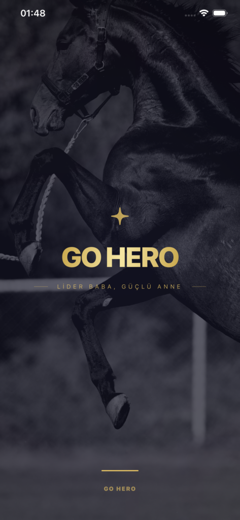 GO HERO screenshot 1