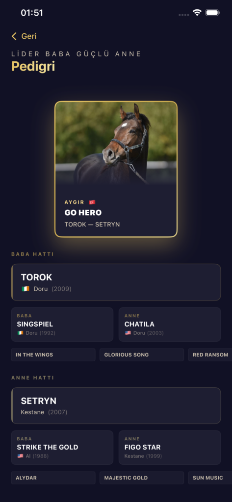 GO HERO screenshot 10