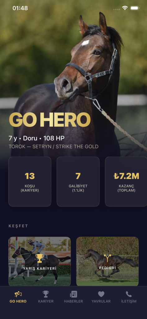 GO HERO screenshot 2