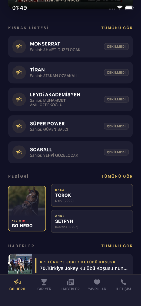 GO HERO screenshot 6