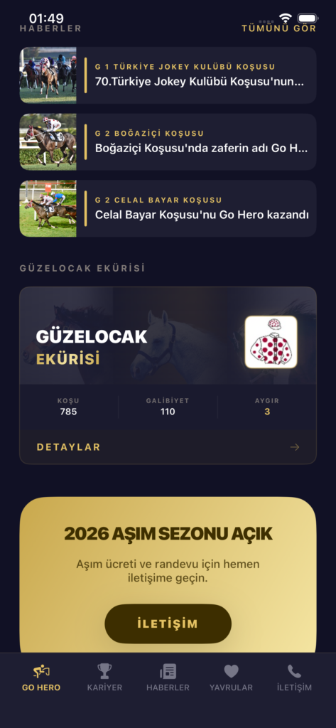 GO HERO screenshot 7